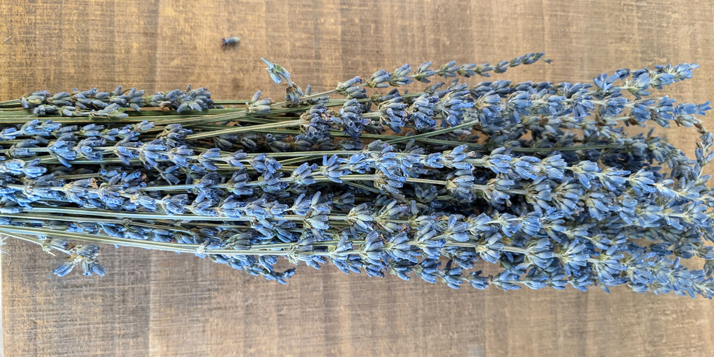 dried lavender flowers